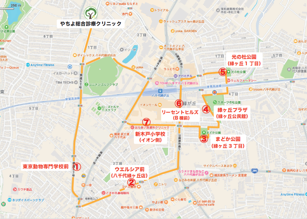 緑が丘周辺コース